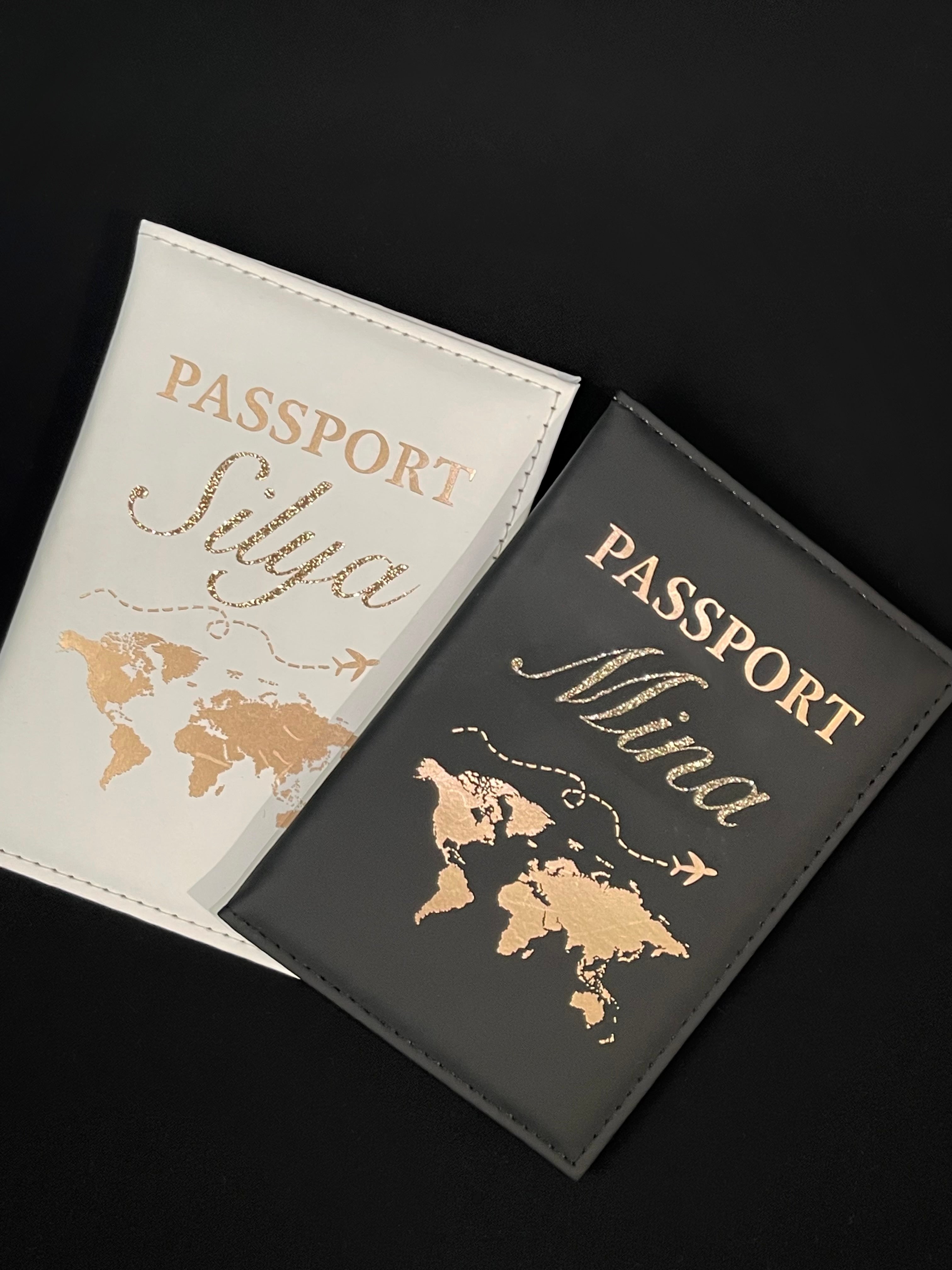 Protège Passport